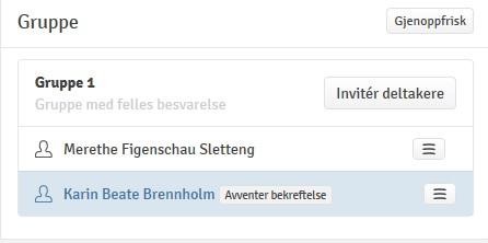 16. Opprette gruppe- Bilde+3+gruppeinnlevering+Wiseflow.jpg